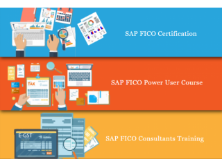 SAP FICO Training in Jahagirpuri, Delhi, SLA SAP Learning Tutorial Learning, SAP Hana Finance Certification,