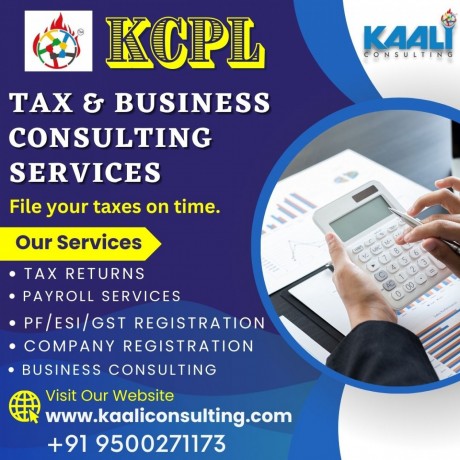 kaali-consulting-indias-top-consultancy-services-big-2