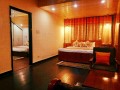the-benefits-of-staying-in-pet-friendly-hotels-in-dharamshala-small-2