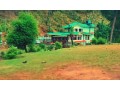the-benefits-of-staying-in-pet-friendly-hotels-in-dharamshala-small-4