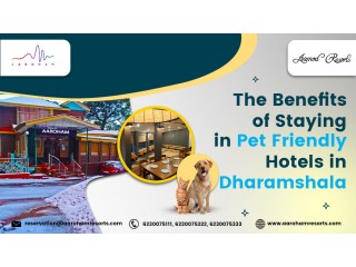 The Benefits of Staying in Pet Friendly Hotels in Dharamshala
