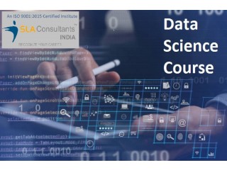 Elevate Your Career with the Data Science Training at SLA Consultants India