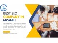 best-seo-company-in-mohali-small-0