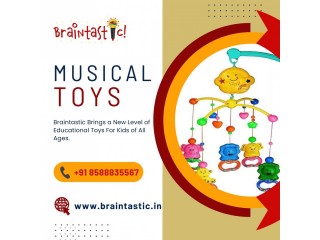 Braintastic Musical Toys
