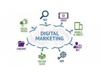 Amplify Your Online Presence with Creativenuts: Leading Digital Marketing Services in Bangalore
