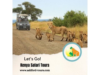 Kenya Safari Tours