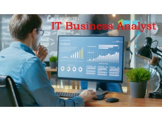 IT Business Analyst Online Training & Certification From India