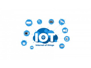 IoT Professional Certification & Training From India