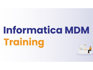 Informatica MDM Online Training Realtime support from India