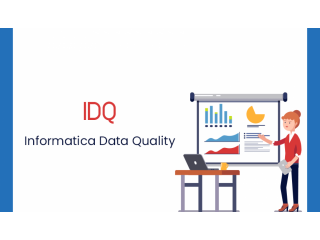 Informatica Data Quality Online Training From Hyderabad India