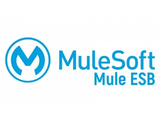 MuleSoft Online TrainingCourse Free with Certificate