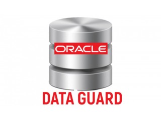 Oracle Data Guard Course Online Training Classes from India ...