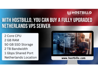 With Hostbillo, you can Buy a fully Upgraded Netherlands VPS Server