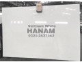 vietnam-white-marble-pakistan-0321-2437362-small-4