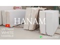 vietnam-white-marble-pakistan-0321-2437362-small-2