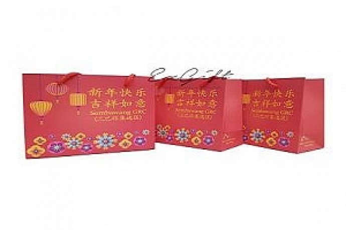 affordable-customise-paper-bag-printing-in-singapore-ezgfitsg-big-0