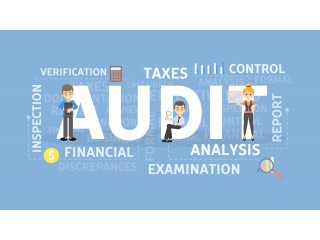 Trusted Audit Company in Singapore – WZWU
