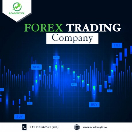 importance-of-enrolling-in-forex-training-company-big-0