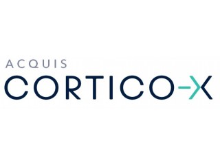 Best Digital Process Automation Consulting | Acquis Cortico