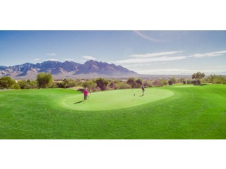Oro Valley Golf: A Golfer's Paradise | I Love OV, LLC