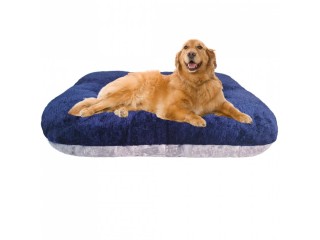 Give Your Canine Companion the Ultimate Comfort with our Dog Beds