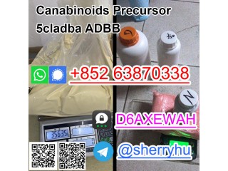 Sample available 5cl-adb-a Precursors , 5cladba raw material