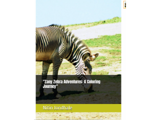 Zany Zebra Adventures: A Coloring Journey