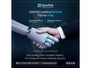 OpenTeQ is a NetSuite Implementation Consultant|Best NetSuite Support Services