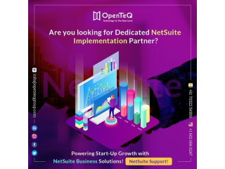 Top NetSuite Partner in the USA | OpenTeQ Group | Unmatched ERP Solutions
