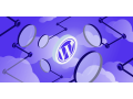 discover-the-top-wordpress-companies-in-mohali-with-rnd-experts-small-0