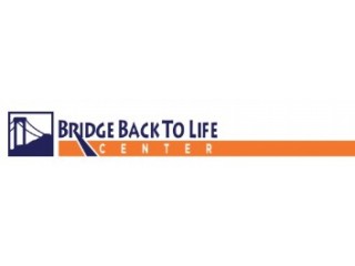 Bridge Back To Life