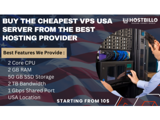 Buy the Cheapest VPS USA Server from the Best Hosting Provider: Hostbillo