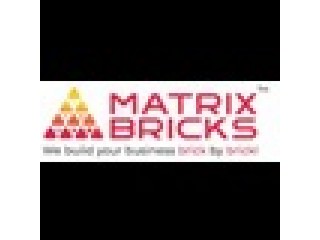 Maximize Your ROI with Top-tier PPC Services in the USA | Matrix Bricks
