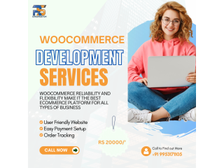 How to Choose the Right WordPress Development Service?