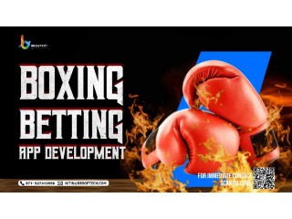 Boxing Betting App Development Providers