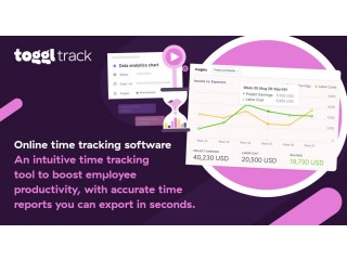 Efficiency at Its Best: Toggl - The Ultimate Project Time Tracker