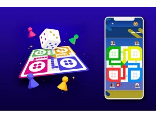 Ready to Launch Ludo Game Platform in the USA
