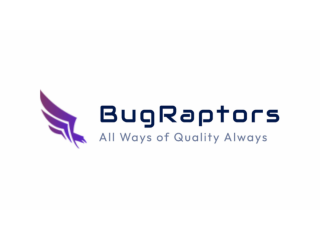 Top Performance Testing Services – BugRaptors