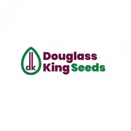 douglass-king-seeds-big-0