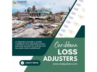 Loss adjusters in US Virgin Islands | VI Adjusters